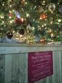2010クリスマスツリー.jpg