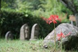 2010民家園-01.jpg
