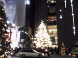 クリスマスツリー