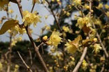 下田-06.jpg