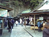 鎌倉・銭洗弁天・1