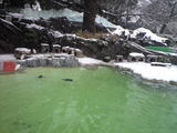 雪の上野動物園・2
