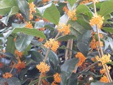 DSC00280.JPG