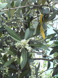 20050607c84d6b6c.jpg