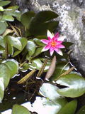 200506131a81847e.jpg
