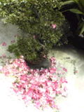 200506141538fe6a.jpg