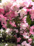 200506148f2af486.jpg
