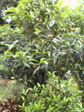 200506200560ac8b.jpg
