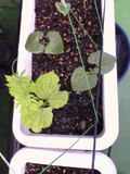 200507069553e9f1.jpg