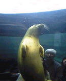 20050712011fb936.jpg