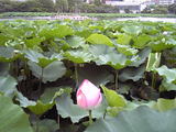 20050724ee215fc3.jpg