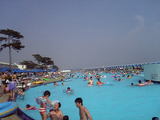 2005080697513081.jpg