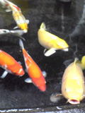 20050811c51c2908.jpg