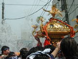 20050814f36bfd9c.jpg
