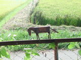 2005090590aca4e4.jpg