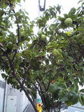 200509260db07dee.jpg