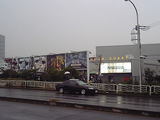 20051106da858534.jpg