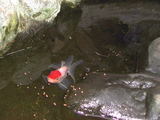 200511216d483881.jpg