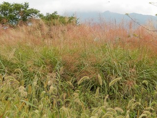 2013八ケ岳-01.jpg