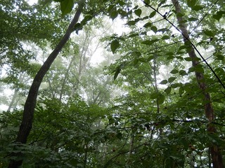 2013八ケ岳-05.jpg