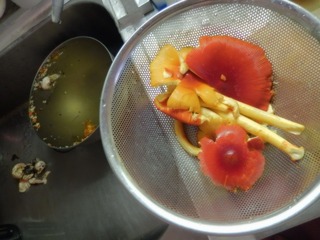 2013八ケ岳-08.jpg