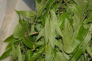 松本-17.jpg