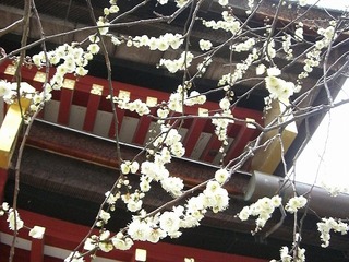 福岡-01.jpg