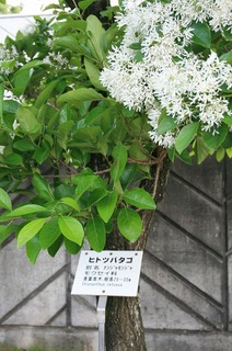 駒ヶ根-22.jpg