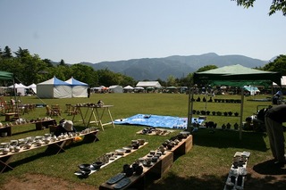 IMG_5382.jpg