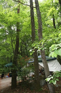 IMG_5470.jpg