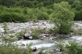 IMG_5492.jpg
