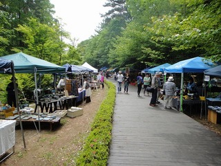 koma-02-02.jpg